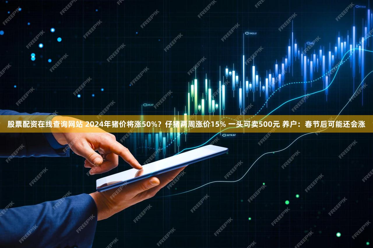 股票配资在线查询网站 2024年猪价将涨50%？仔猪两周涨价15% 一头可卖500元 养户：春节后可能还会涨