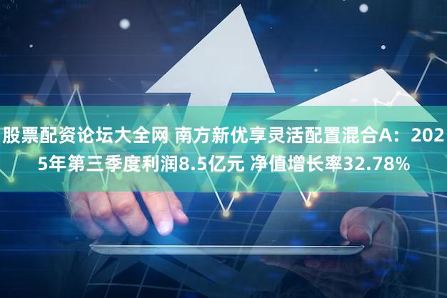 股票配资论坛大全网 南方新优享灵活配置混合A:2025年第三季度利润8.5亿元 净值增长率32.78%