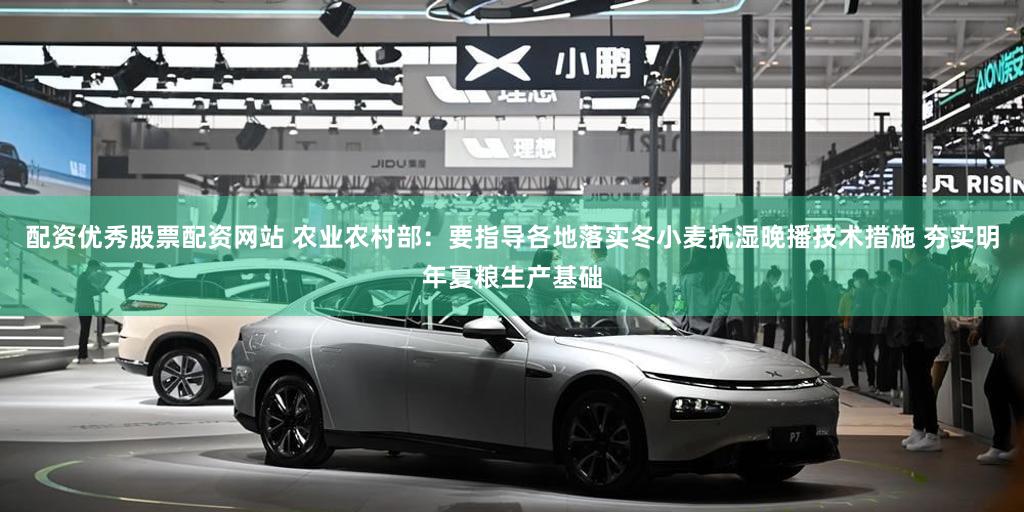 配资优秀股票配资网站 农业农村部：要指导各地落实冬小麦抗湿晚播技术措施 夯实明年夏粮生产基础