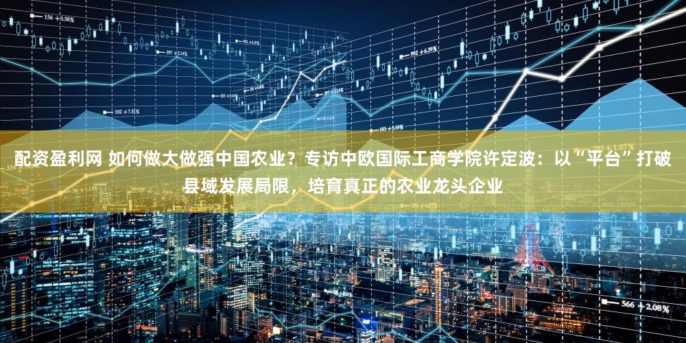 配资盈利网 如何做大做强中国农业？专访中欧国际工商学院许定波：以“平台”打破县域发展局限，培育真正的农业龙头企业