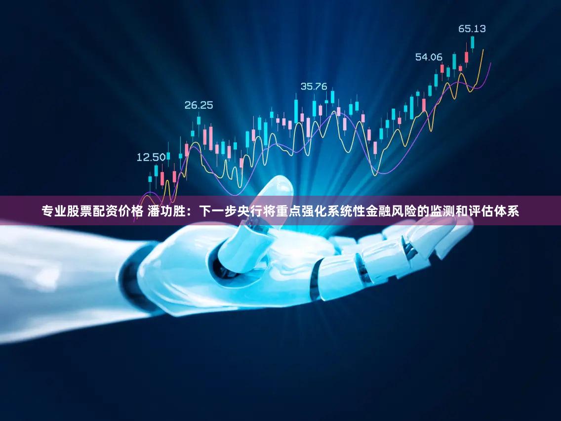 专业股票配资价格 潘功胜：下一步央行将重点强化系统性金融风险的监测和评估体系