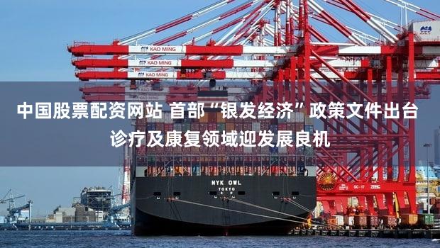 中国股票配资网站 首部“银发经济”政策文件出台 诊疗及康复领域迎发展良机