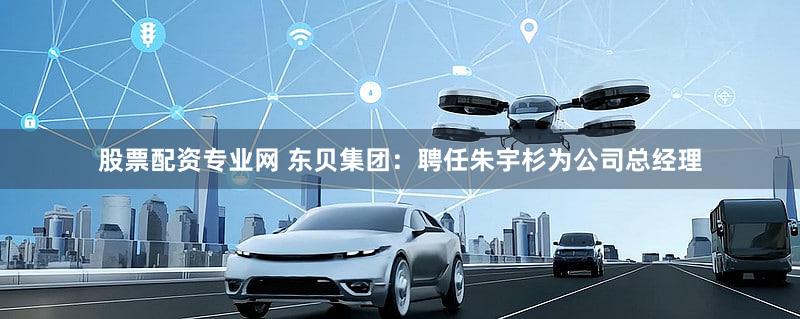 股票配资专业网 东贝集团：聘任朱宇杉为公司总经理